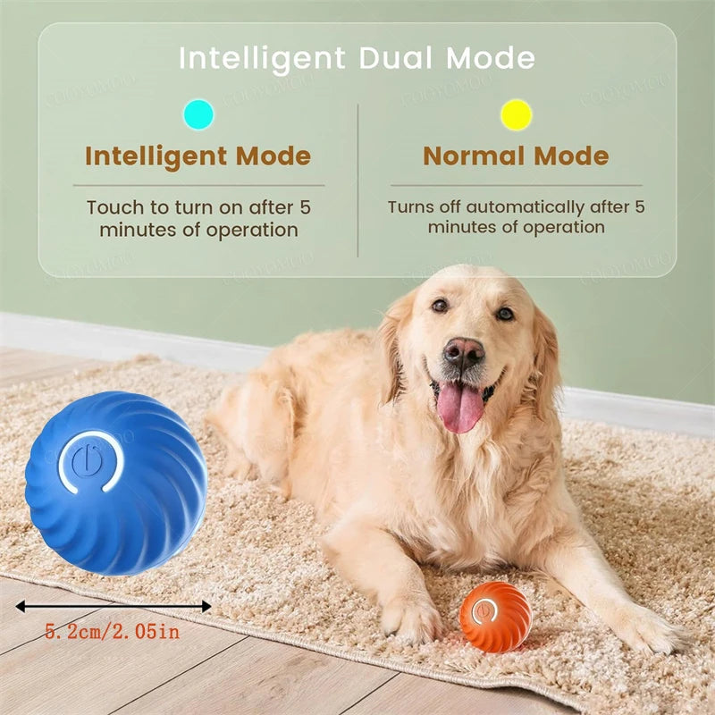 Balle électronique interactive USB – Jouet rebondissant pour chat & chiot
