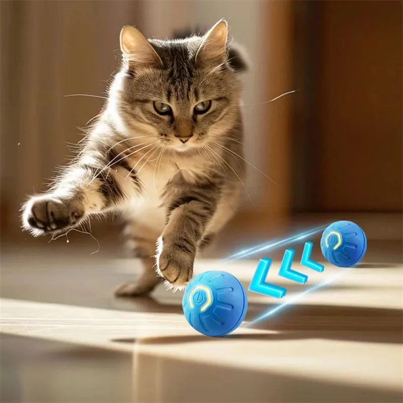 Balle électronique interactive USB – Jouet rebondissant pour chat & chiot