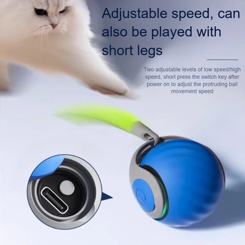 Balle interactive pour chat – Jouet électrique rechargeable USB imitation souris
