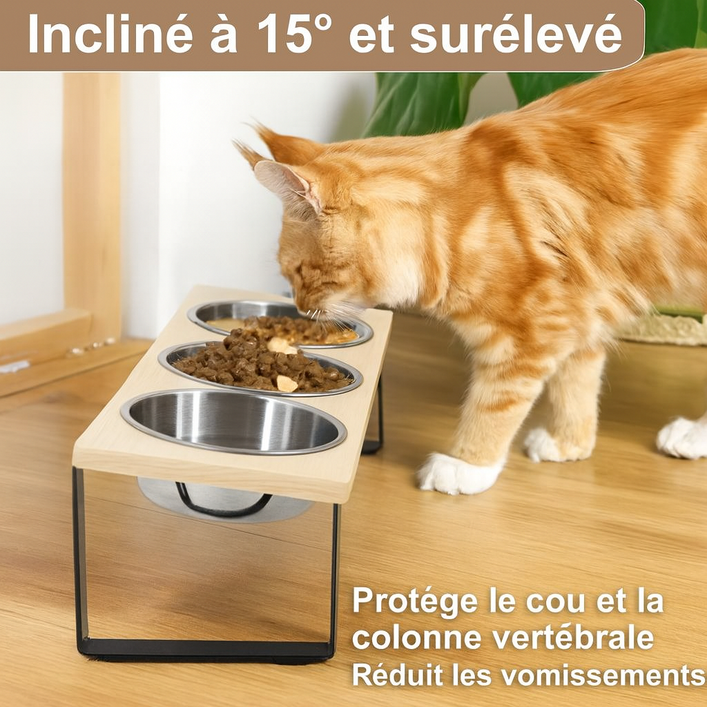 Mangeoire surélevée inclinée