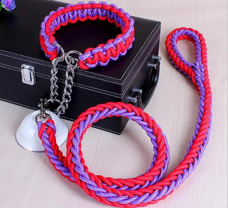 Corde de traction solide pour grands chiens – Laisse métal & collier assorti 1,2m