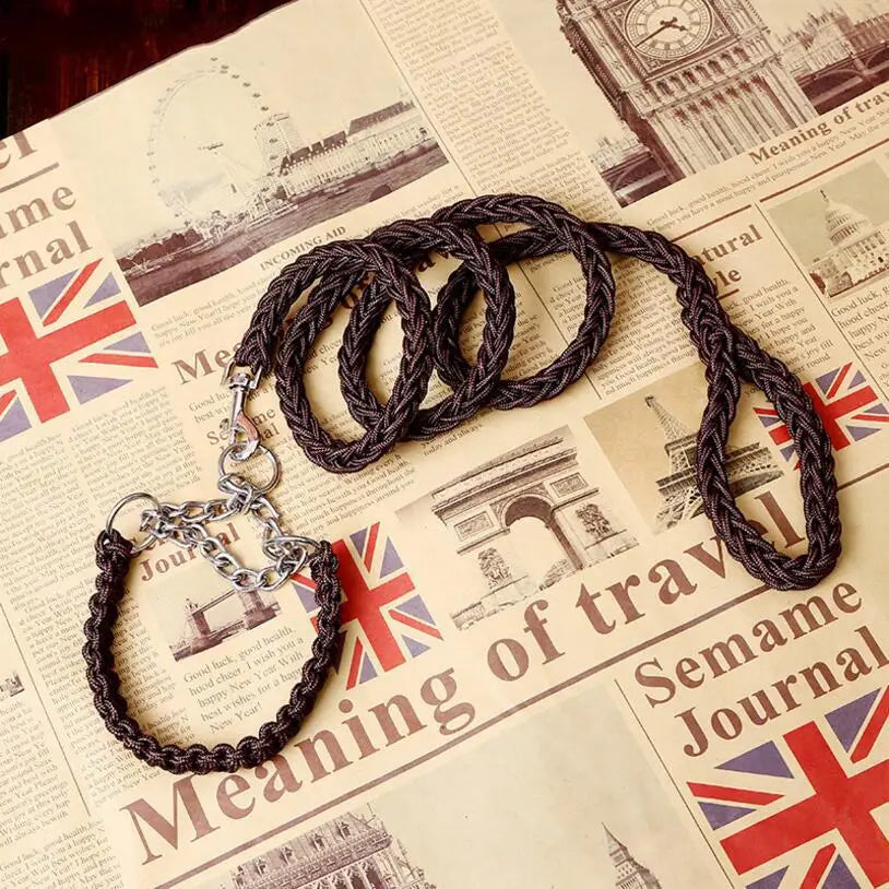 Corde de traction solide pour grands chiens – Laisse métal & collier assorti 1,2m