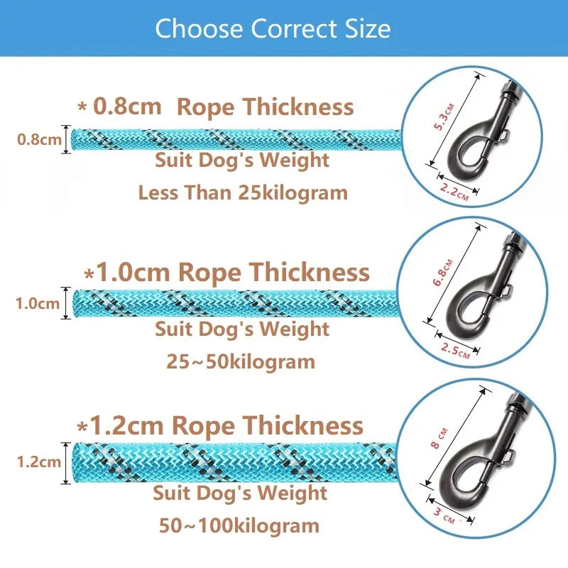 Laisse résistante pour chiens – 150 à 300cm, anti traction & haute visibilité