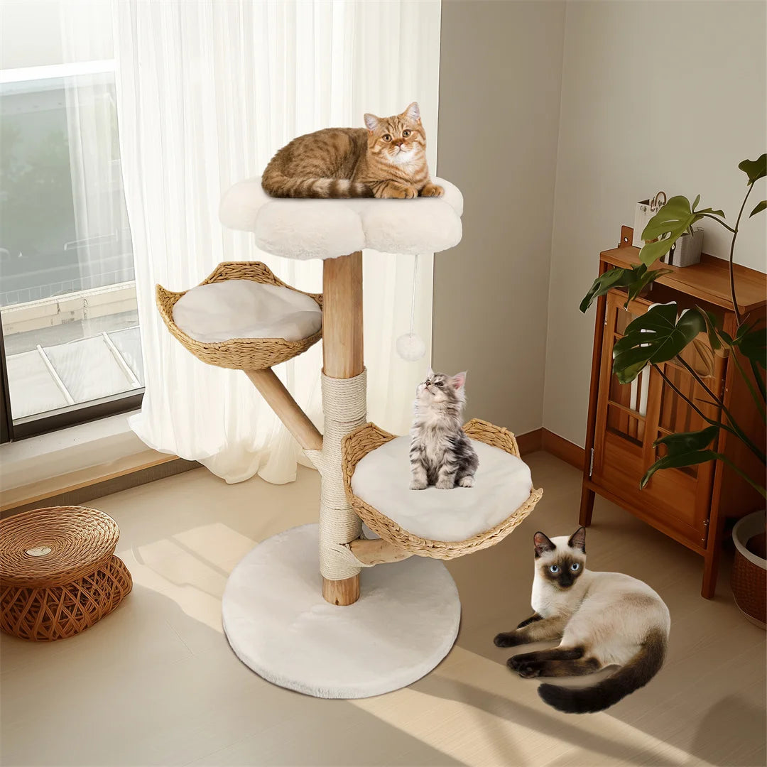 Arbre Chat Bois Massif