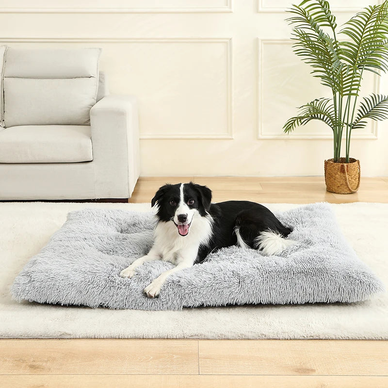 Lit en peluche douce pour chien & chat – Panier cocoon confortable & chaud