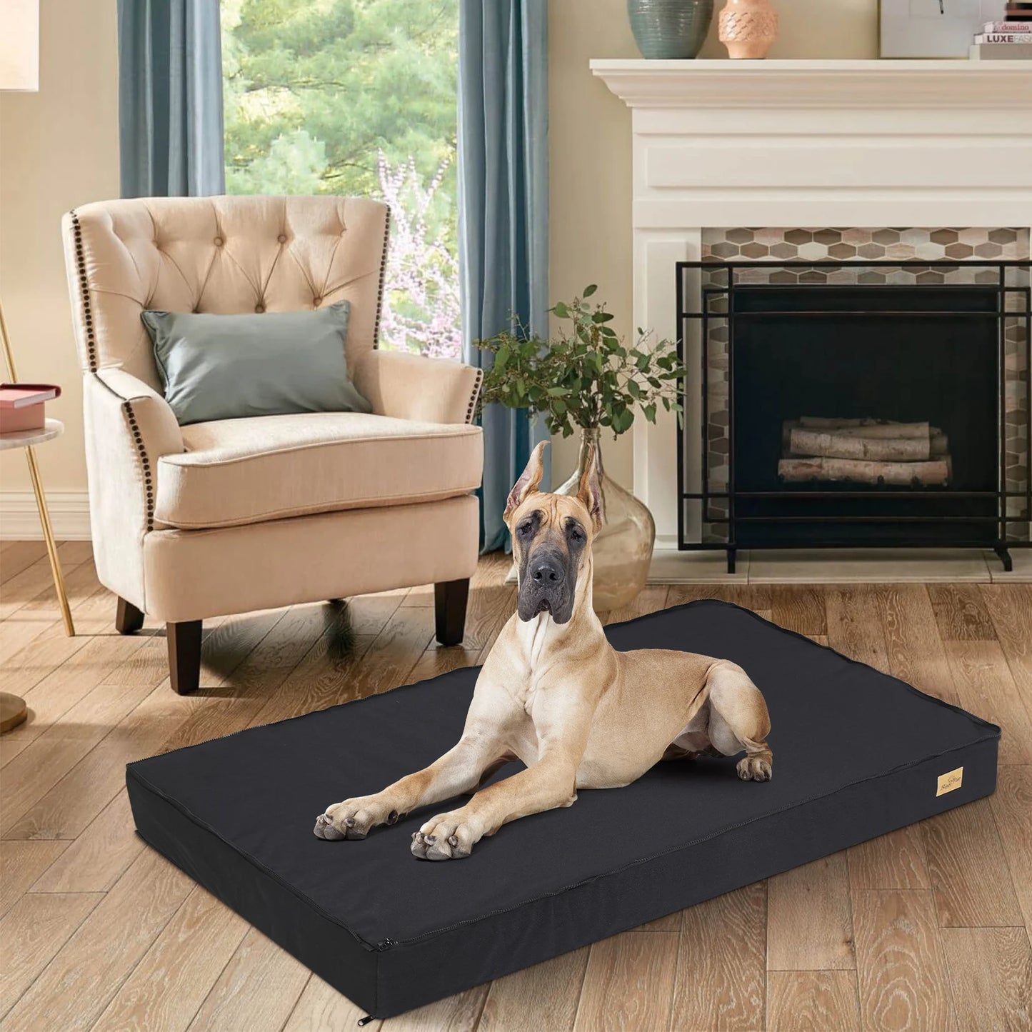 Matelas Chien Imperméable Lavable