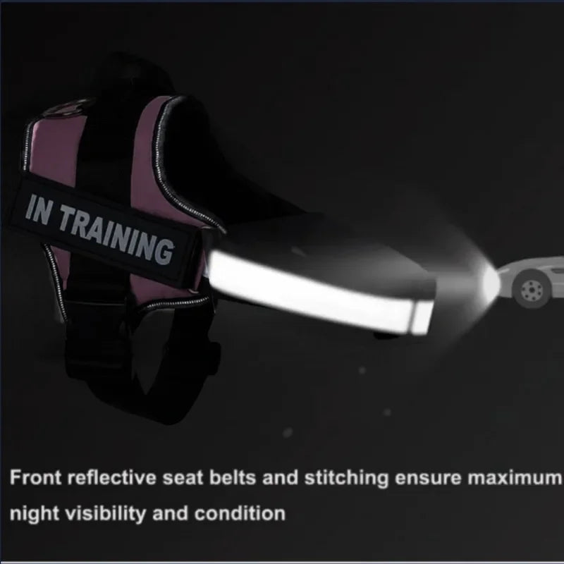 Harnais chien personnalisé – Réglable & réfléchissant avec nom gravé gratuit