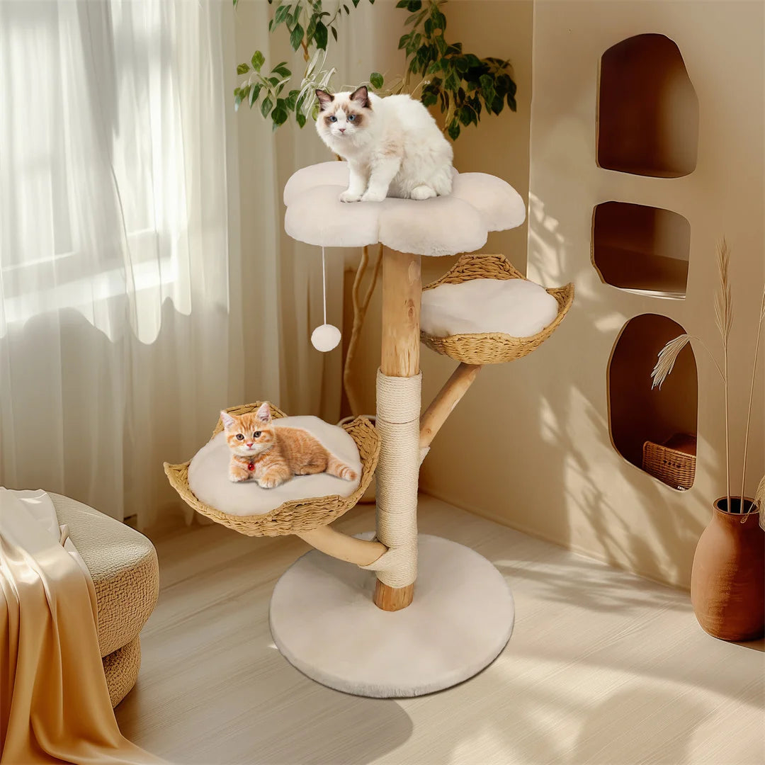 Arbre Chat Bois Massif