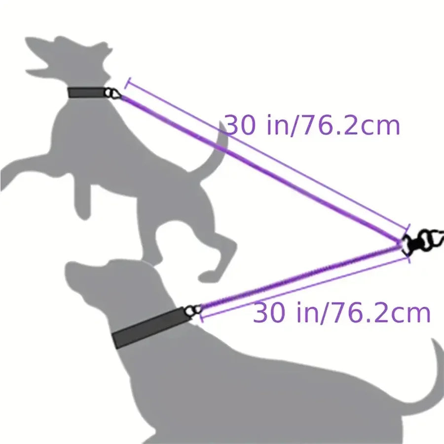 Laisse double pivotante 360° pour chien – Anti enchevêtrement & promenade sûre