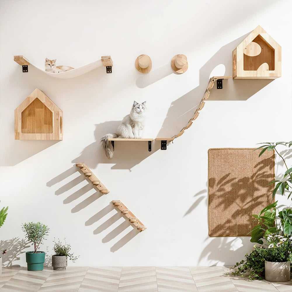 Accessoires muraux pour chat – Échelle, étagère, lit caché & poste à gratter