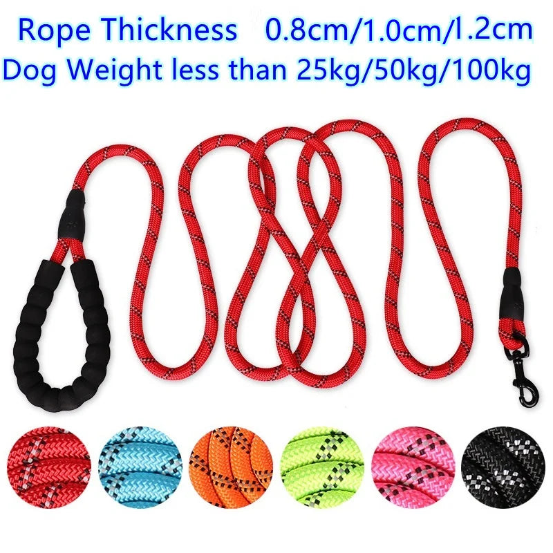 Laisse résistante pour chiens – 150 à 300cm, anti traction & haute visibilité