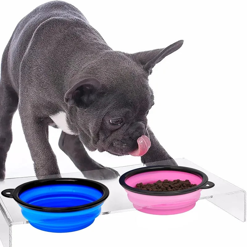 Bol pliable silicone 2 en 1 avec mousqueton