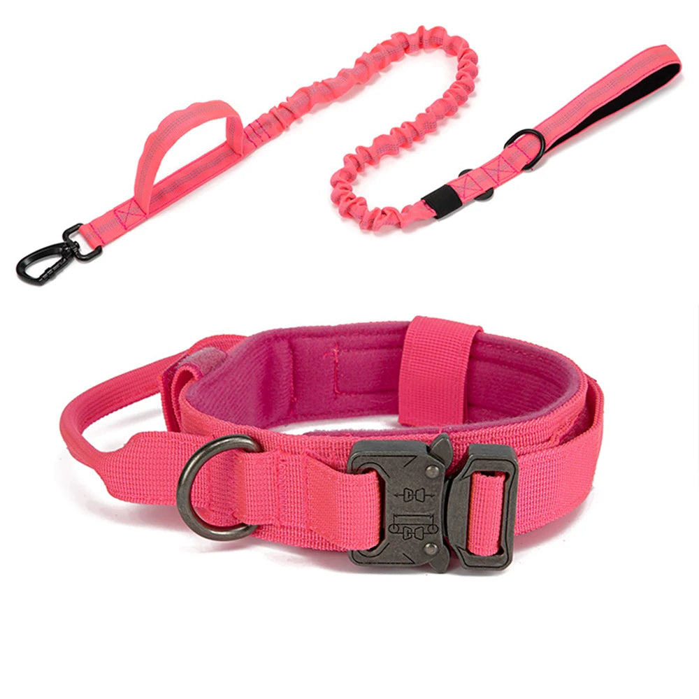 Ensemble collier & laisse en nylon pour chien – Réfléchissant, durable & tactique