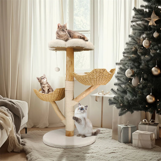 Arbre Chat Bois Massif