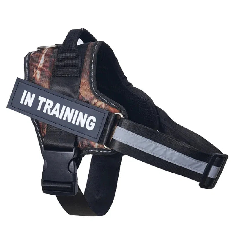 Harnais chien personnalisé – Réglable & réfléchissant avec nom gravé gratuit