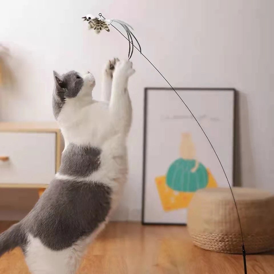 Canne à pêche pour chat