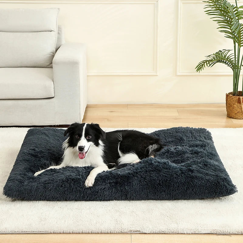 Lit en peluche douce pour chien & chat – Panier cocoon confortable & chaud