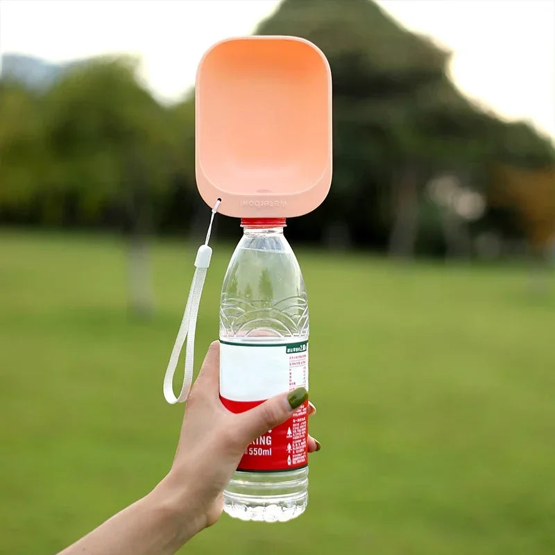 Bol à clipser sur bouteille d’eau