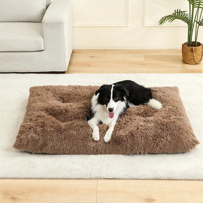 Lit en peluche douce pour chien & chat – Panier cocoon confortable & chaud