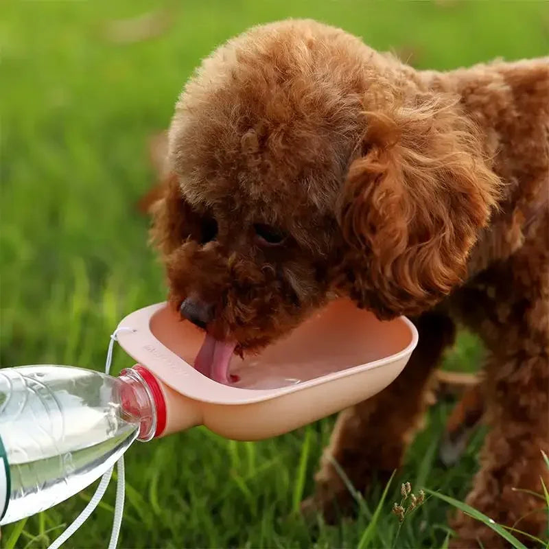 Bol à clipser sur bouteille d’eau