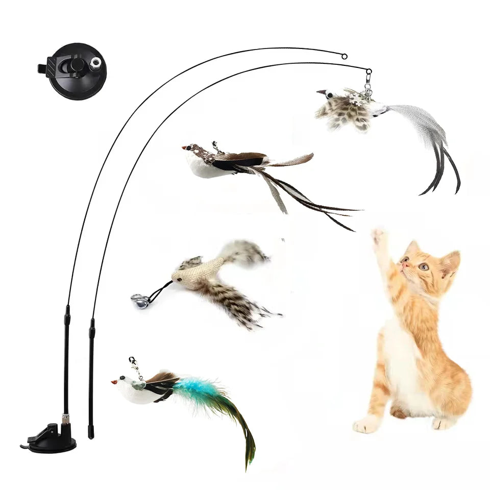 Canne à pêche pour chat