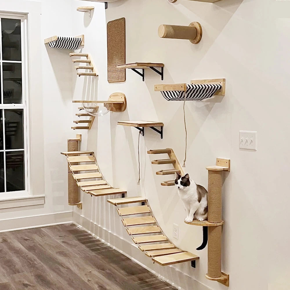 Accessoires muraux pour chat – Échelle, étagère, lit caché & poste à gratter