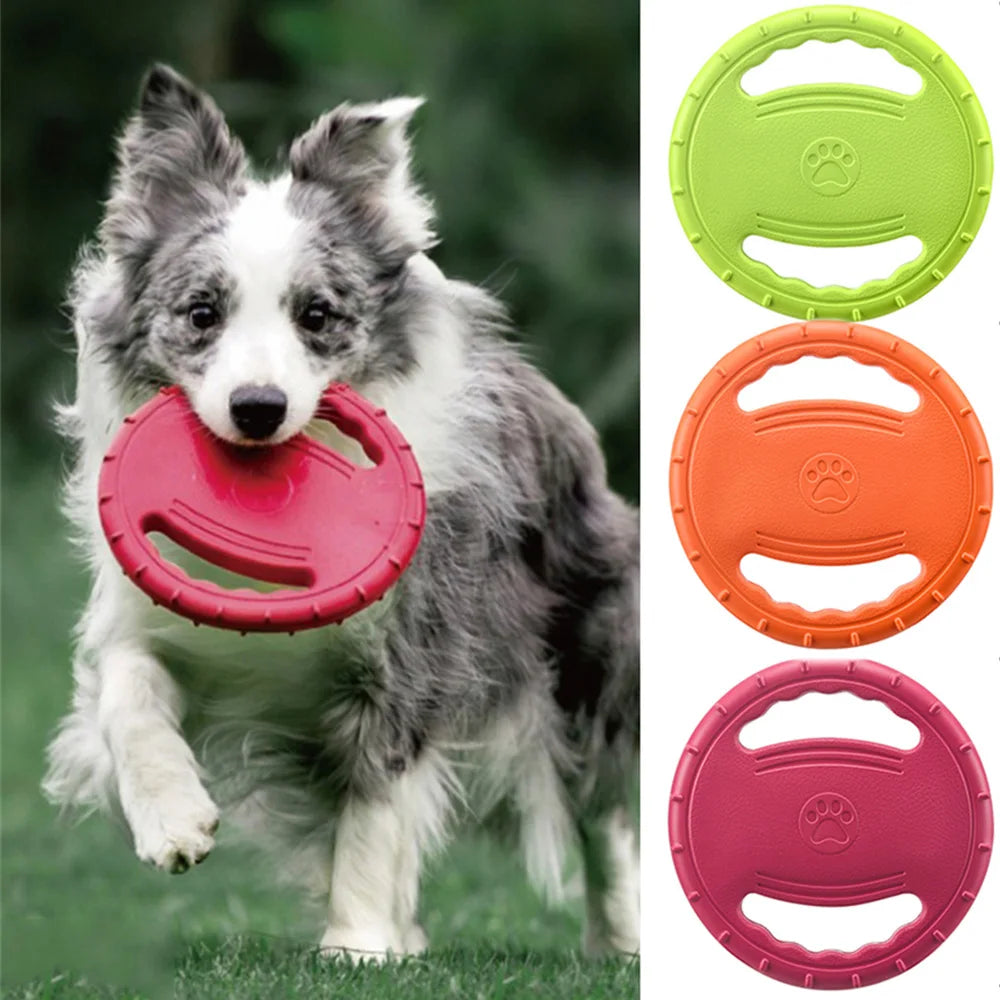 Frisbee chien – Disque volant flottant résistant aux morsures pour sport extérieur