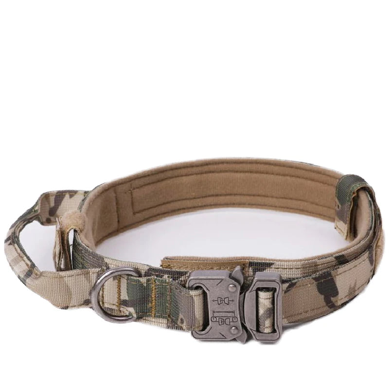 Ensemble collier & laisse en nylon pour chien – Réfléchissant, durable & tactique