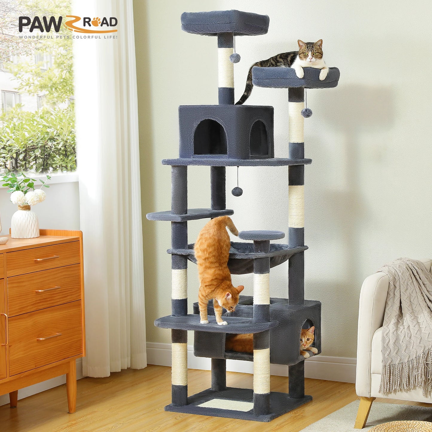 Tour Chat Multi Activités