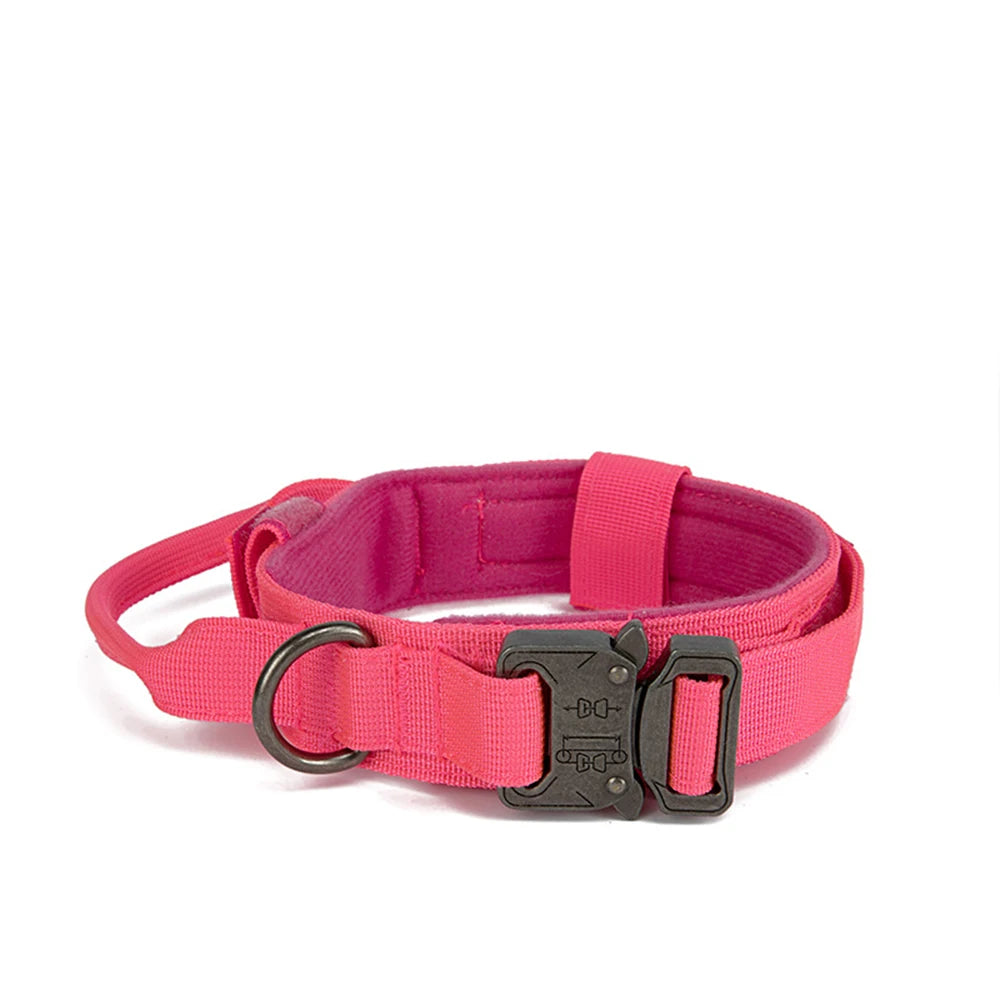 Ensemble collier & laisse en nylon pour chien – Réfléchissant, durable & tactique