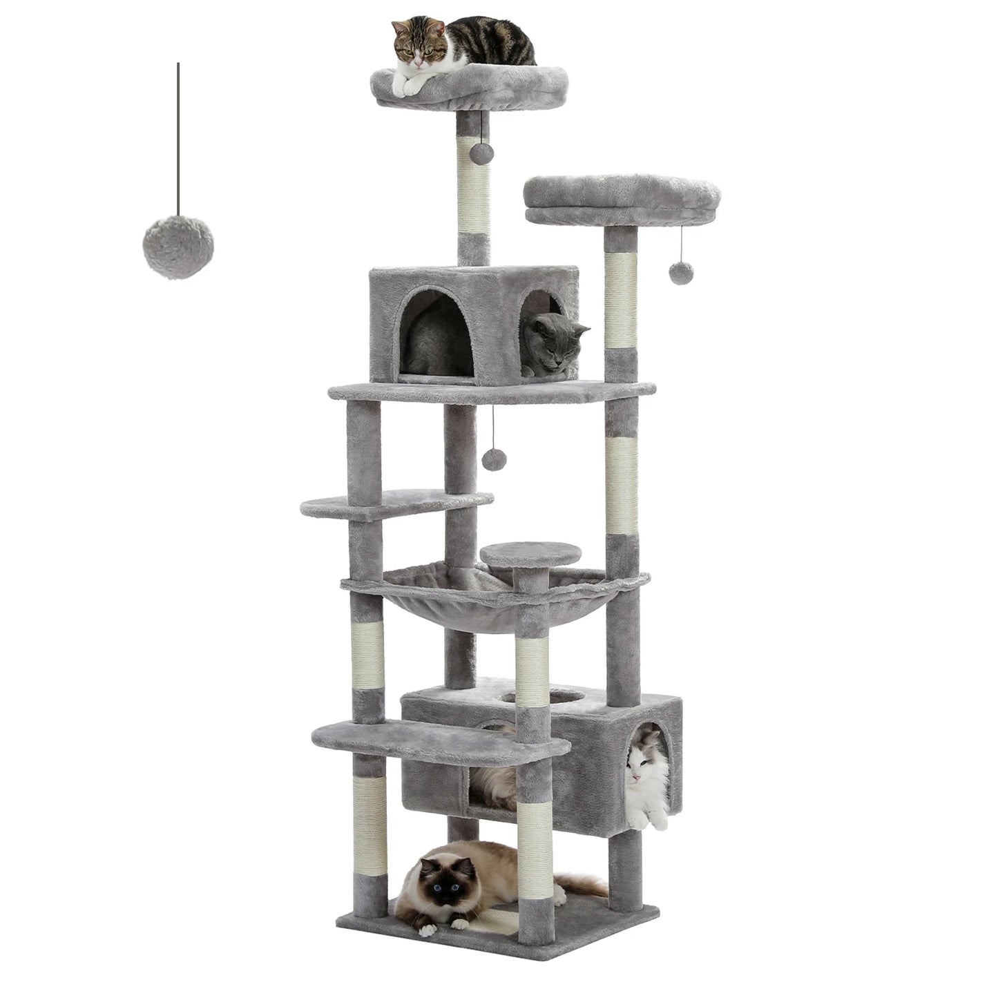 Tour Chat Multi Activités
