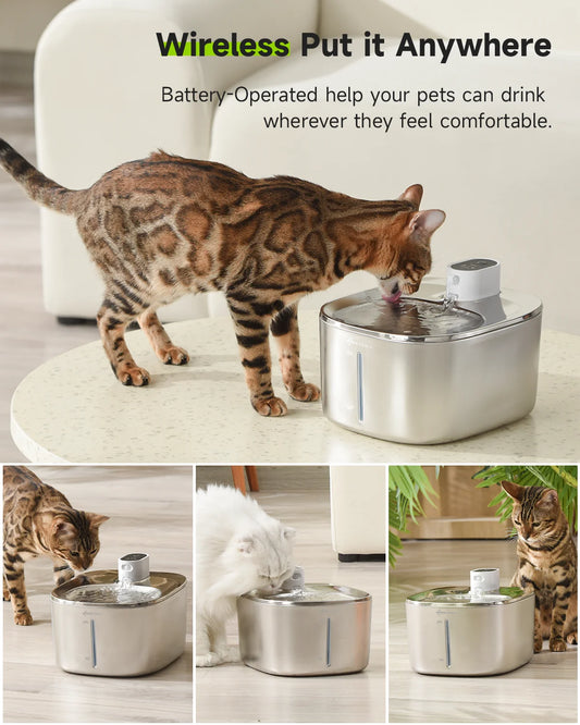 APETDOLA fontaine à eau chat – Inox 4L avec filtration multiple & batterie rechargeable