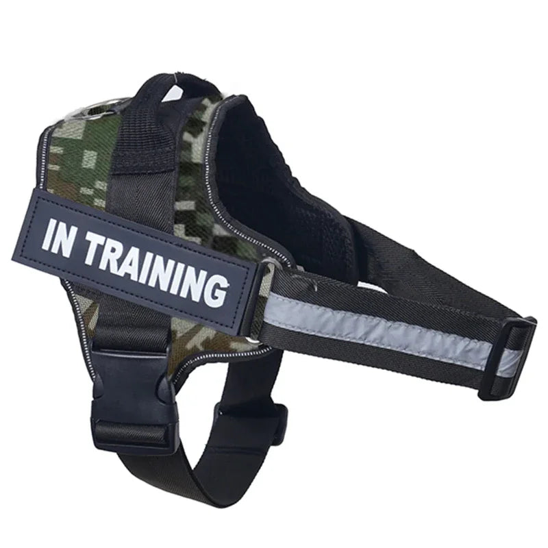 Harnais chien personnalisé – Réglable & réfléchissant avec nom gravé gratuit
