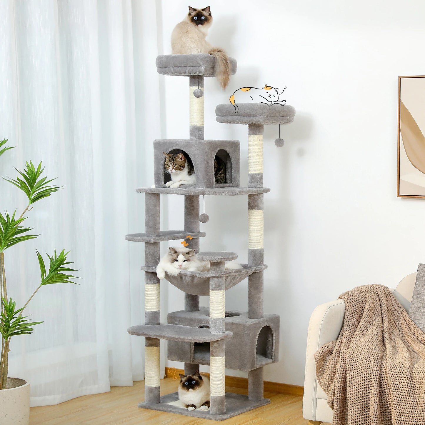 Tour Chat Multi Activités