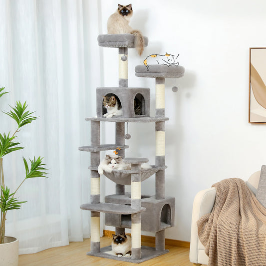 Tour Chat Multi Activités