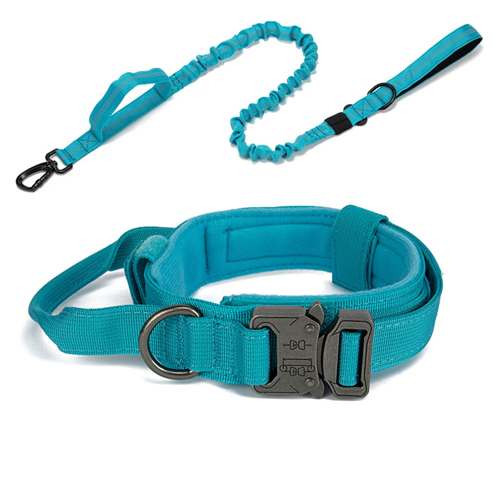 Ensemble collier & laisse en nylon pour chien – Réfléchissant, durable & tactique