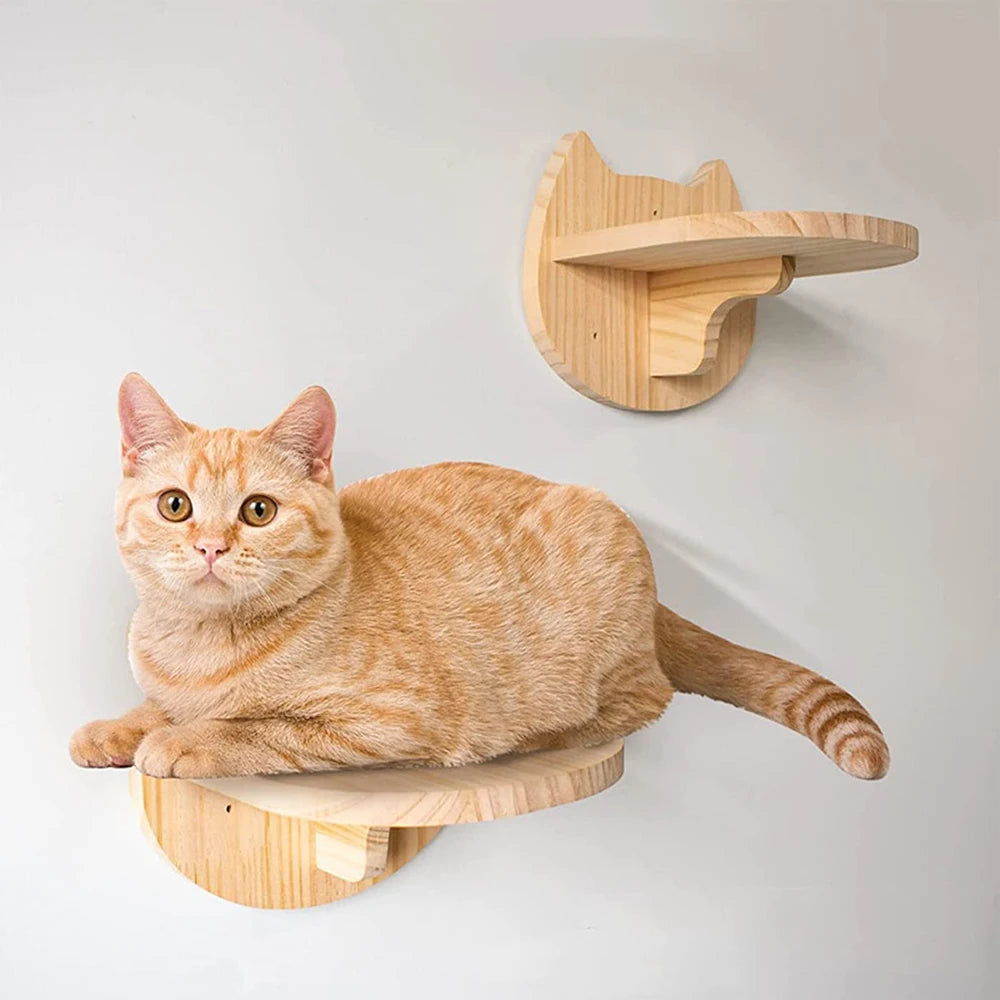 Accessoires muraux pour chat – Échelle, étagère, lit caché & poste à gratter