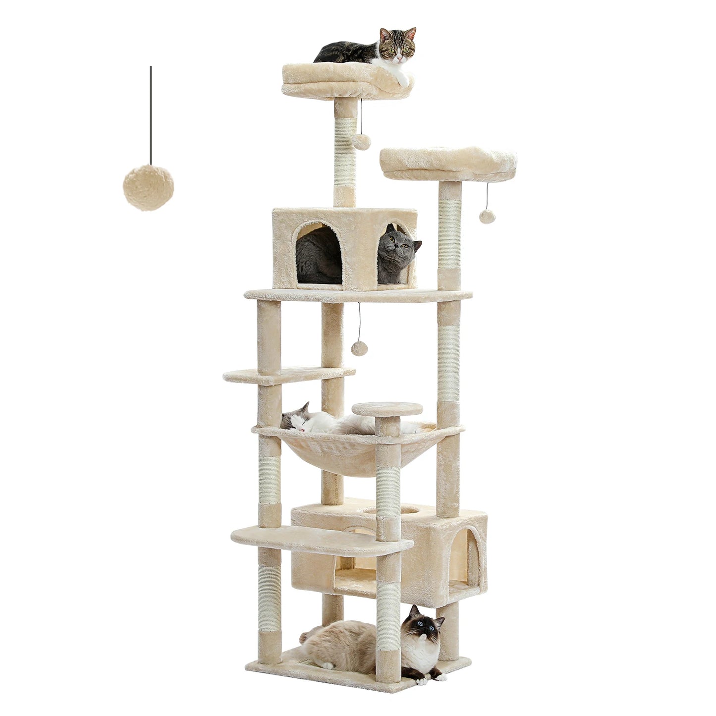 Tour Chat Multi Activités