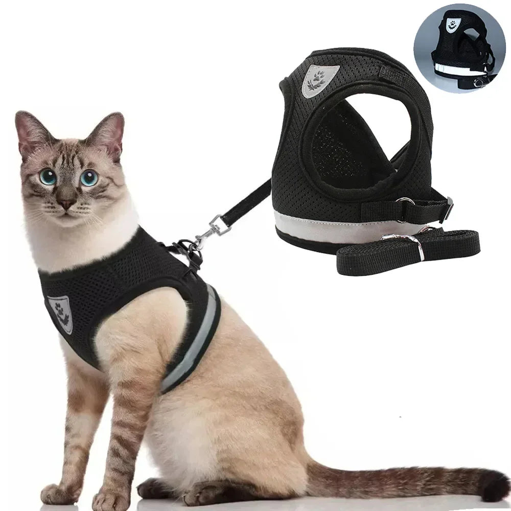 Harnais anti fugue pour chat – Gilet réglable réfléchissant avec laisse incluse