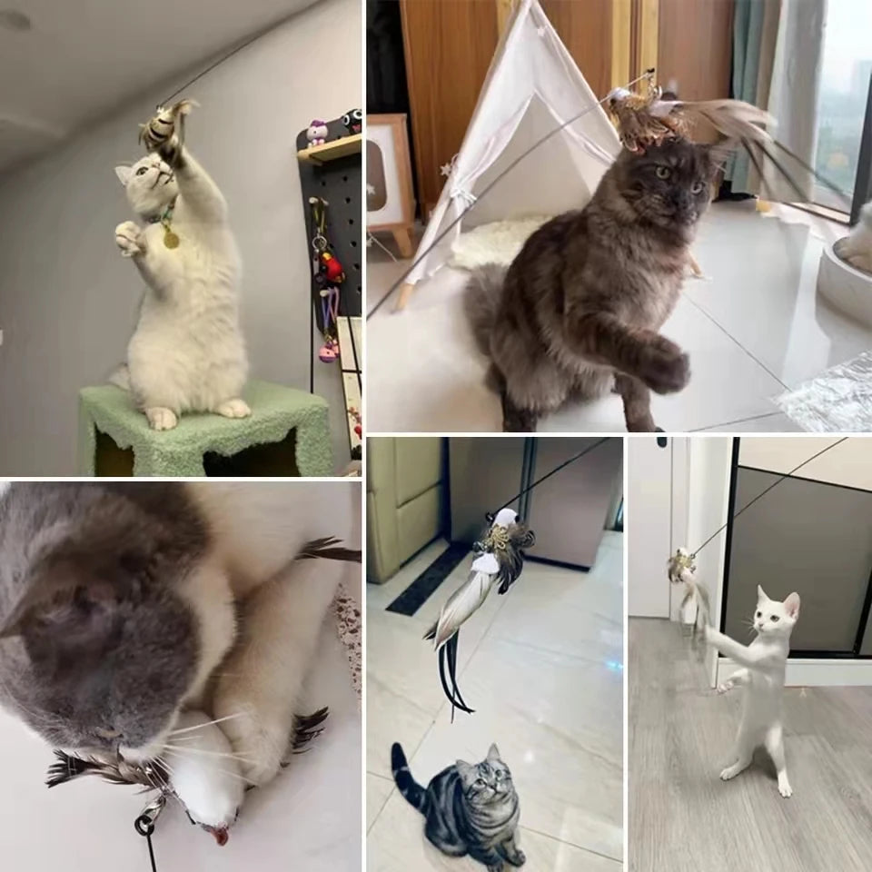 Canne à pêche pour chat