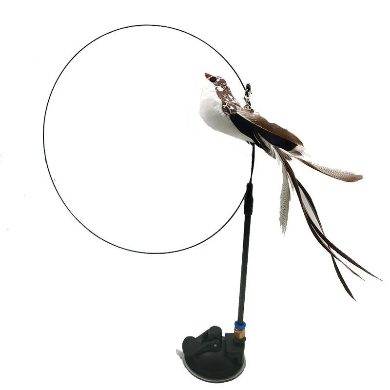 Canne à pêche pour chat