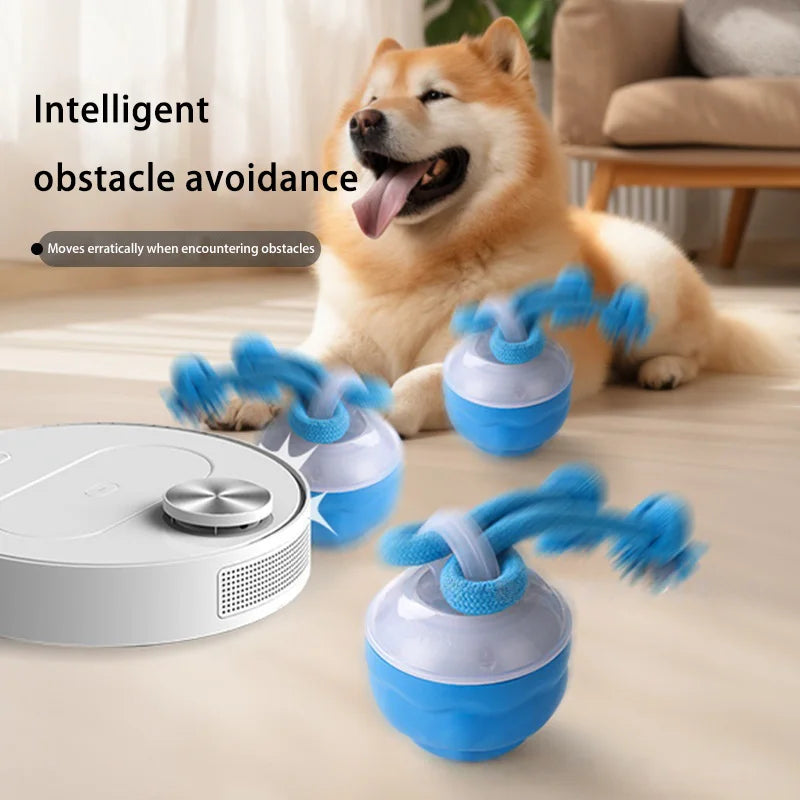 Balle Automatique Anti Ennui