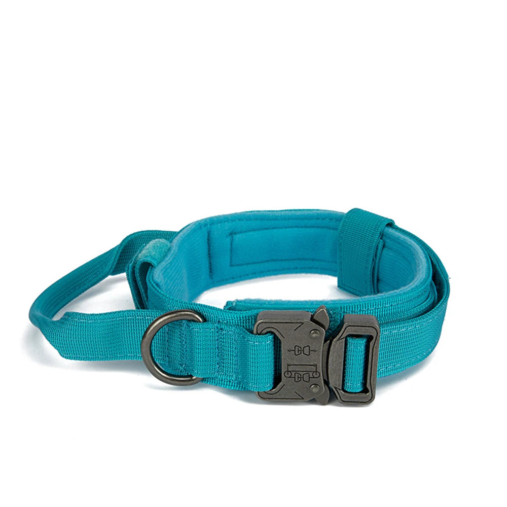 Ensemble collier & laisse en nylon pour chien – Réfléchissant, durable & tactique
