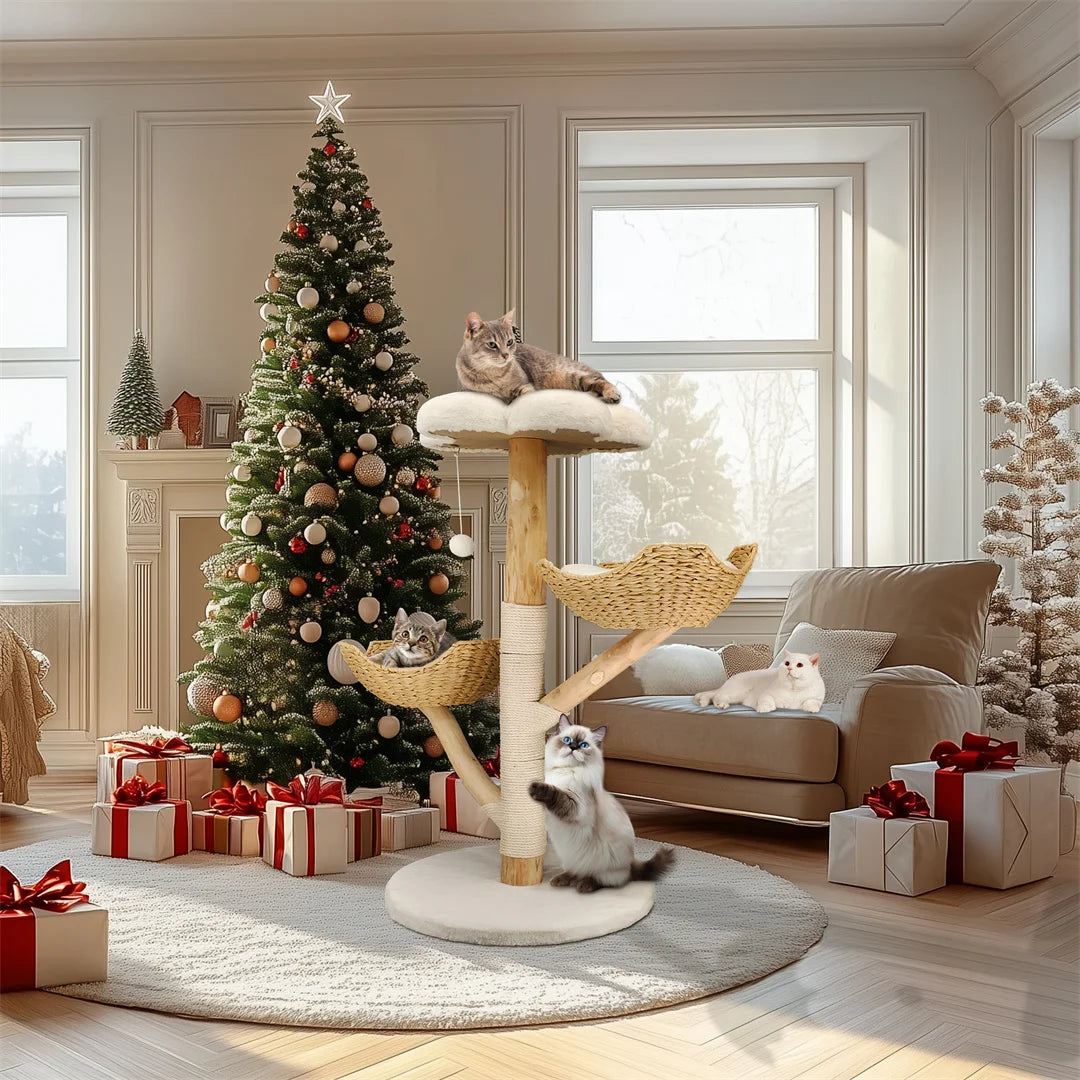 Arbre Chat Bois Massif