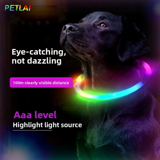 Collier lumineux LED pour chien & chat – Rechargeable, coloré & visible la nuit