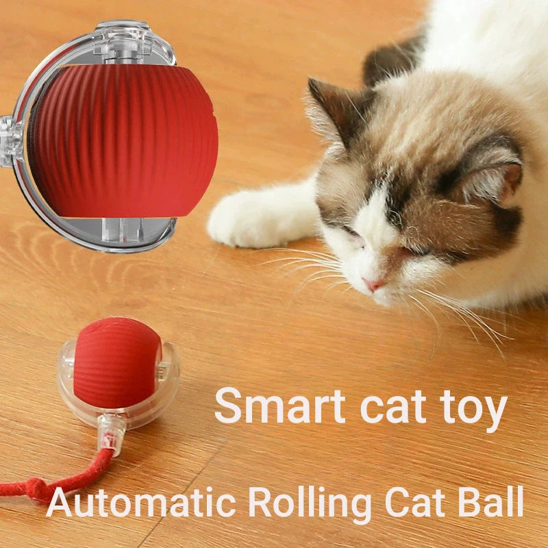 Balle Imitation Souris Automatique
