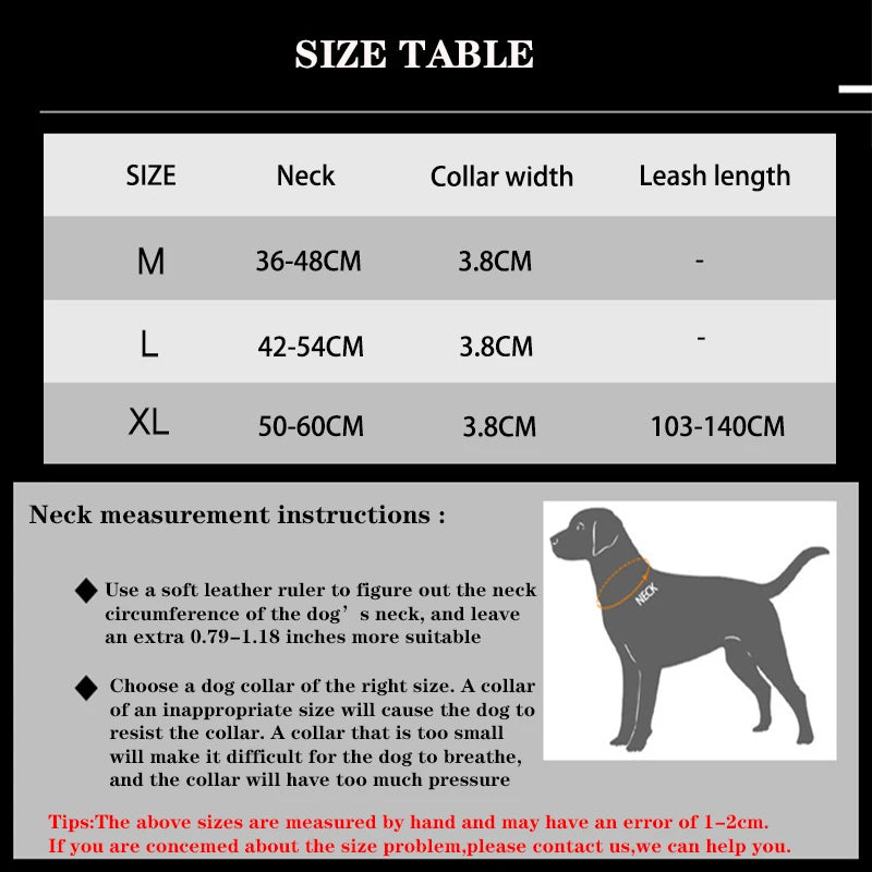 Ensemble collier & laisse en nylon pour chien – Réfléchissant, durable & tactique