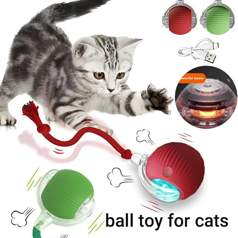 Balle Imitation Souris Automatique