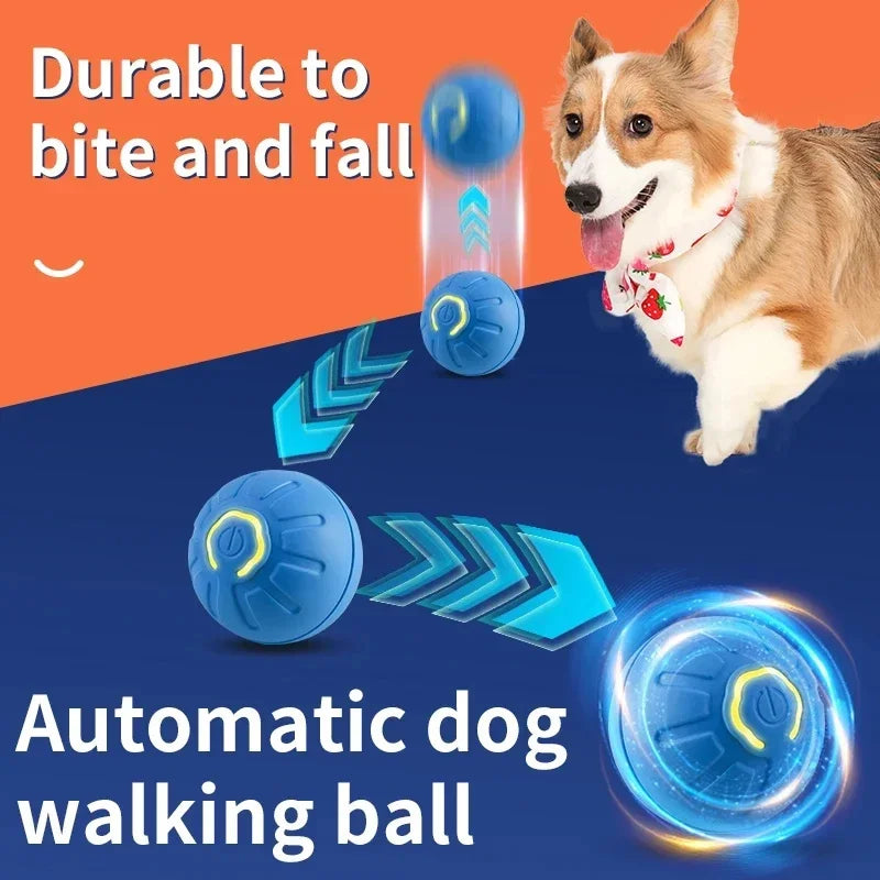 Balle électronique interactive USB – Jouet rebondissant pour chat & chiot