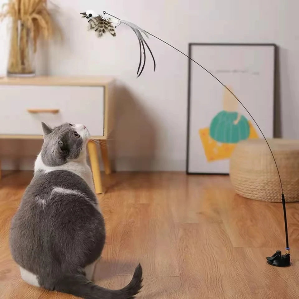 Canne à pêche pour chat